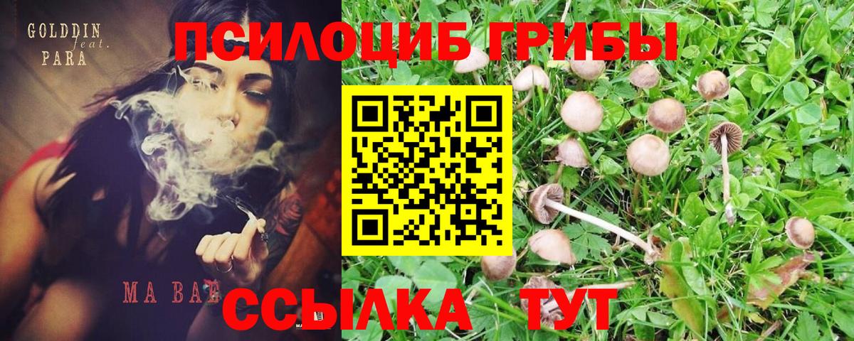 Псилоцибиновые грибы GOLDEN TEACHER Южноуральск