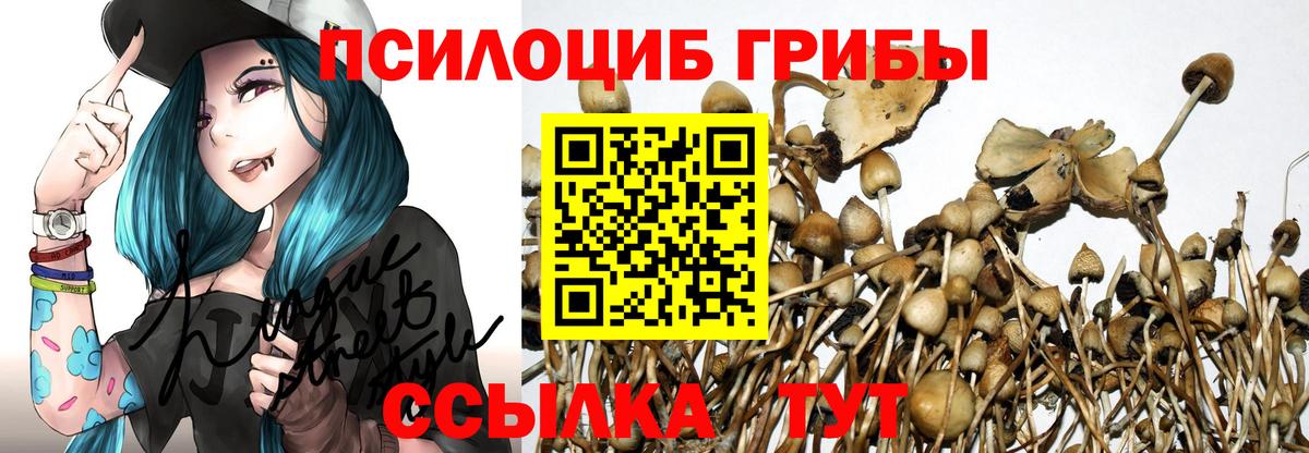 Галлюциногенные грибы Cubensis  Вход с VPN  Южноуральск 